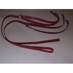 Pavadėlis dviems šunims 10mm/130cm