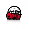 Ortin
