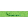 Vitaplant