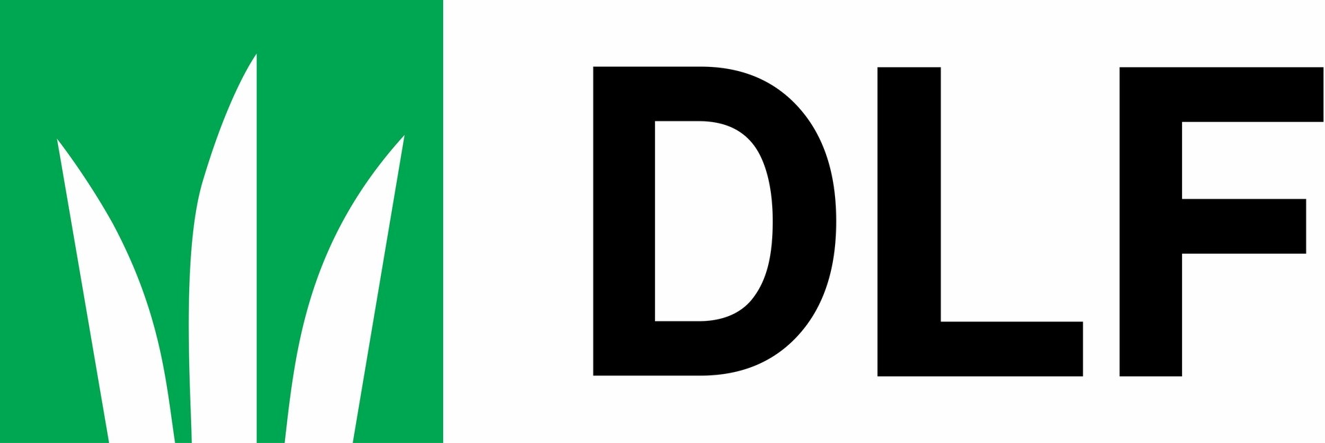 DFL